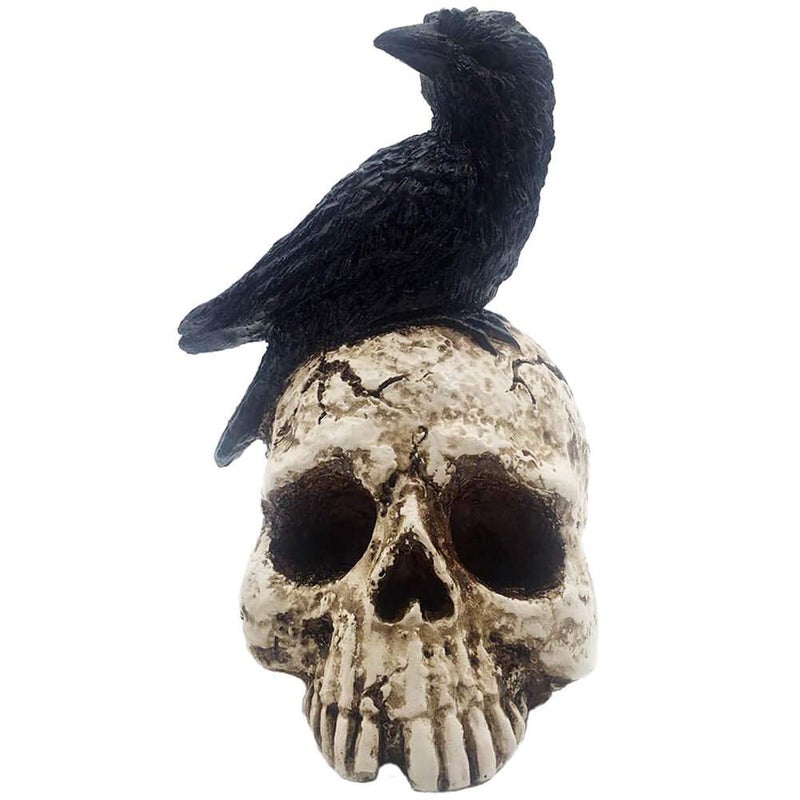 ThriBartLive Raven On Skull Halloween Home Decor - Gothic Crow On Skull Statue, Bird Perching On Skeleton Figurine, Macabre Ossuary Sculpture - Image 1